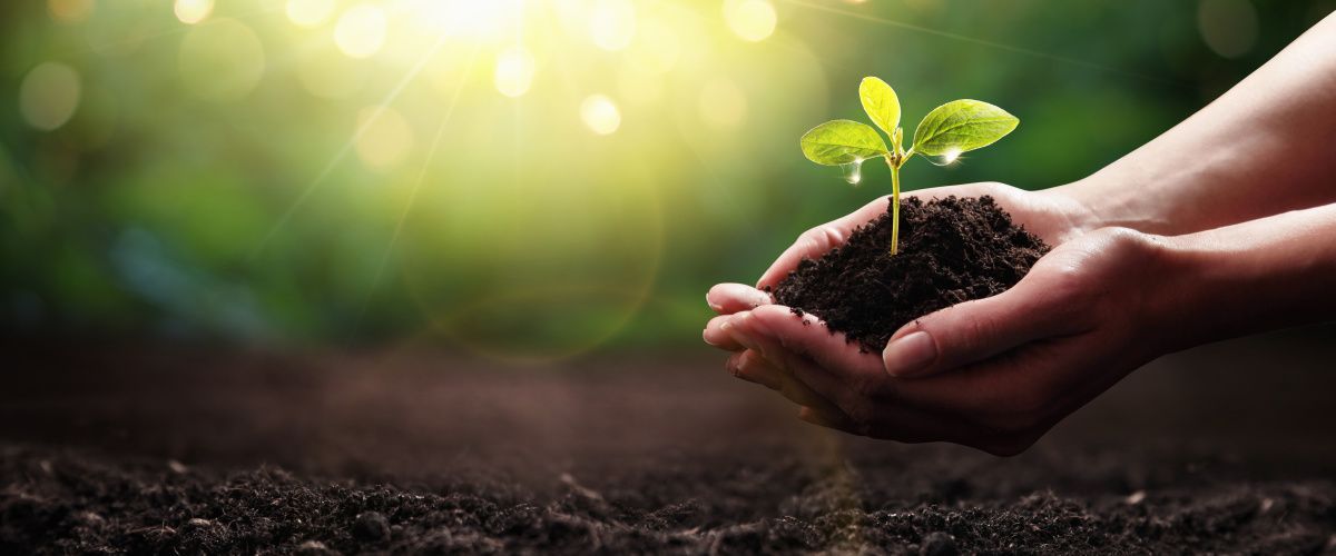 Northampton , Northants sustainability