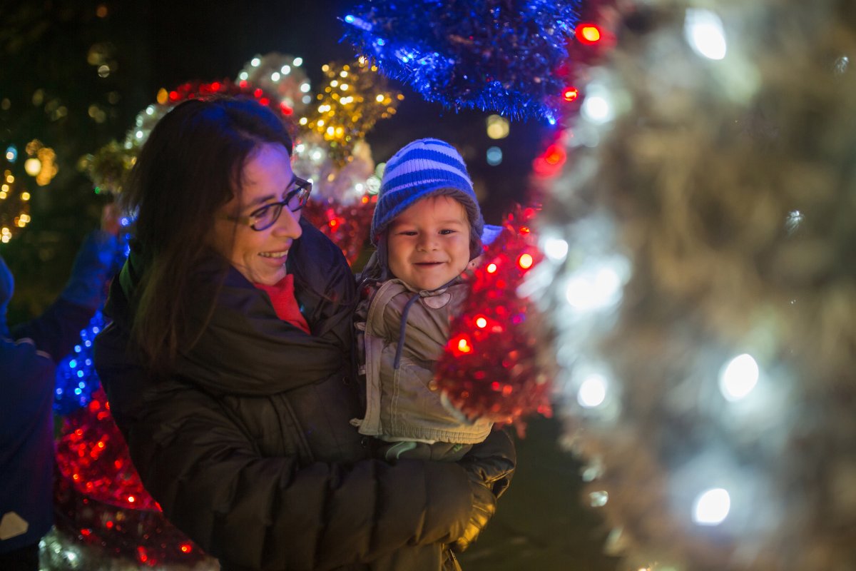 Magical Christmas Experience at Mini Meadows Fare.
