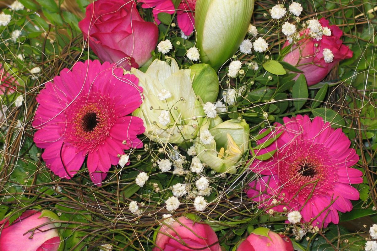 Flowers